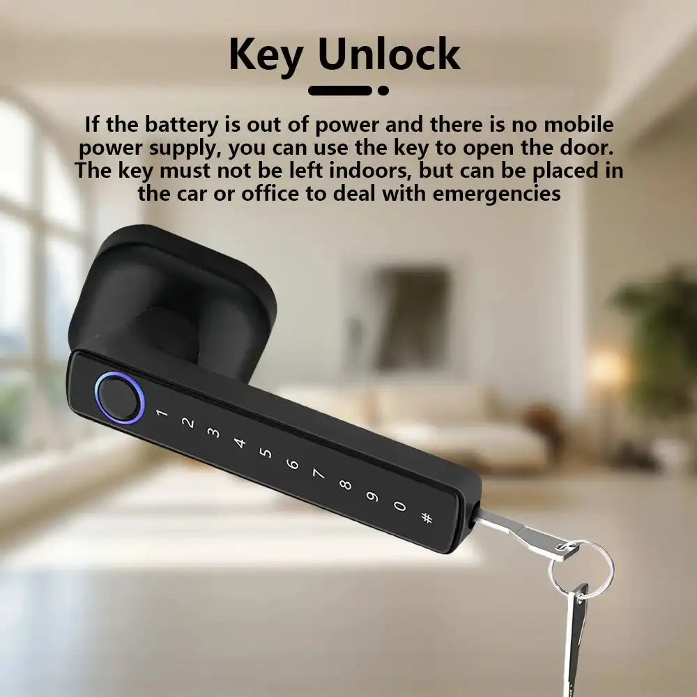 RAYKUBE M6 Tuya BLE Bedroom Digital Electronic Lock Fingerprint Door Lock with Password/Key/IC Card/ Tuya APP Unlock From USA - Magic Electronics