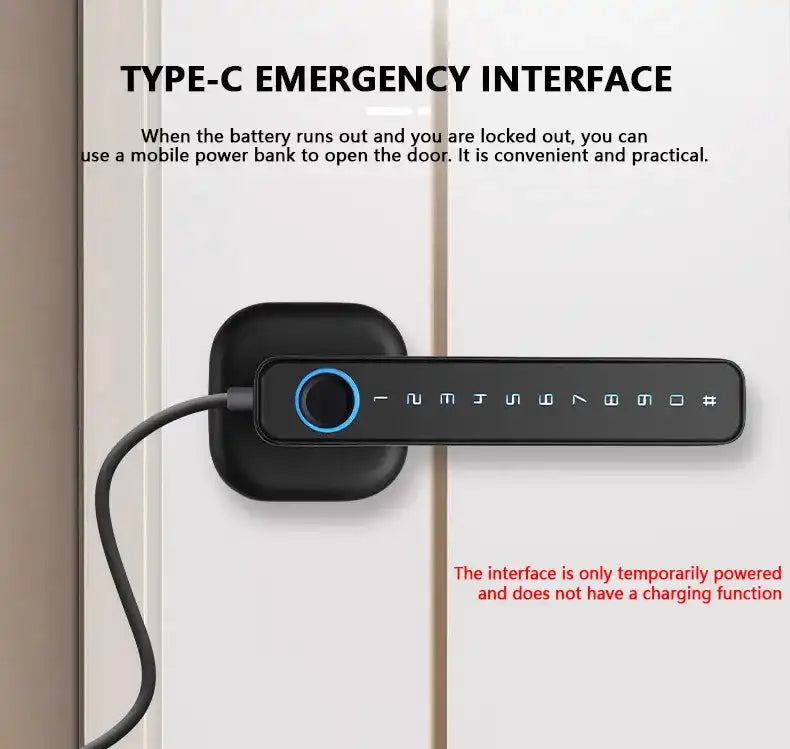 RAYKUBE M6 Tuya BLE Bedroom Digital Electronic Lock Fingerprint Door Lock with Password/Key/IC Card/ Tuya APP Unlock From USA - Magic Electronics