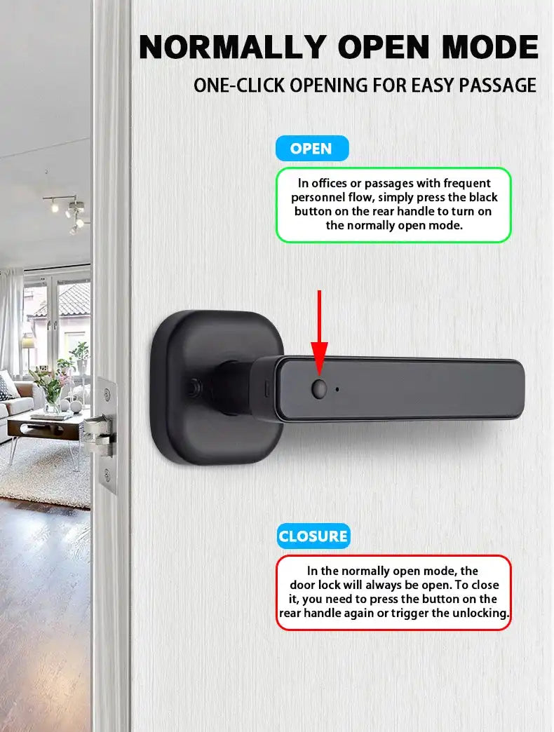 RAYKUBE M6 Tuya BLE Bedroom Digital Electronic Lock Fingerprint Door Lock with Password/Key/IC Card/ Tuya APP Unlock From USA - Magic Electronics