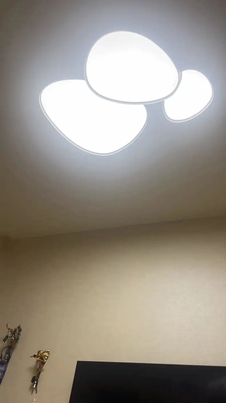 Modern Living Room LED Ceiling Lights Nordic Home Decor Indoor Bedroom Lamp Black White AC 90-260V Ceiling Chandeliers Lighting - Magic Electronics