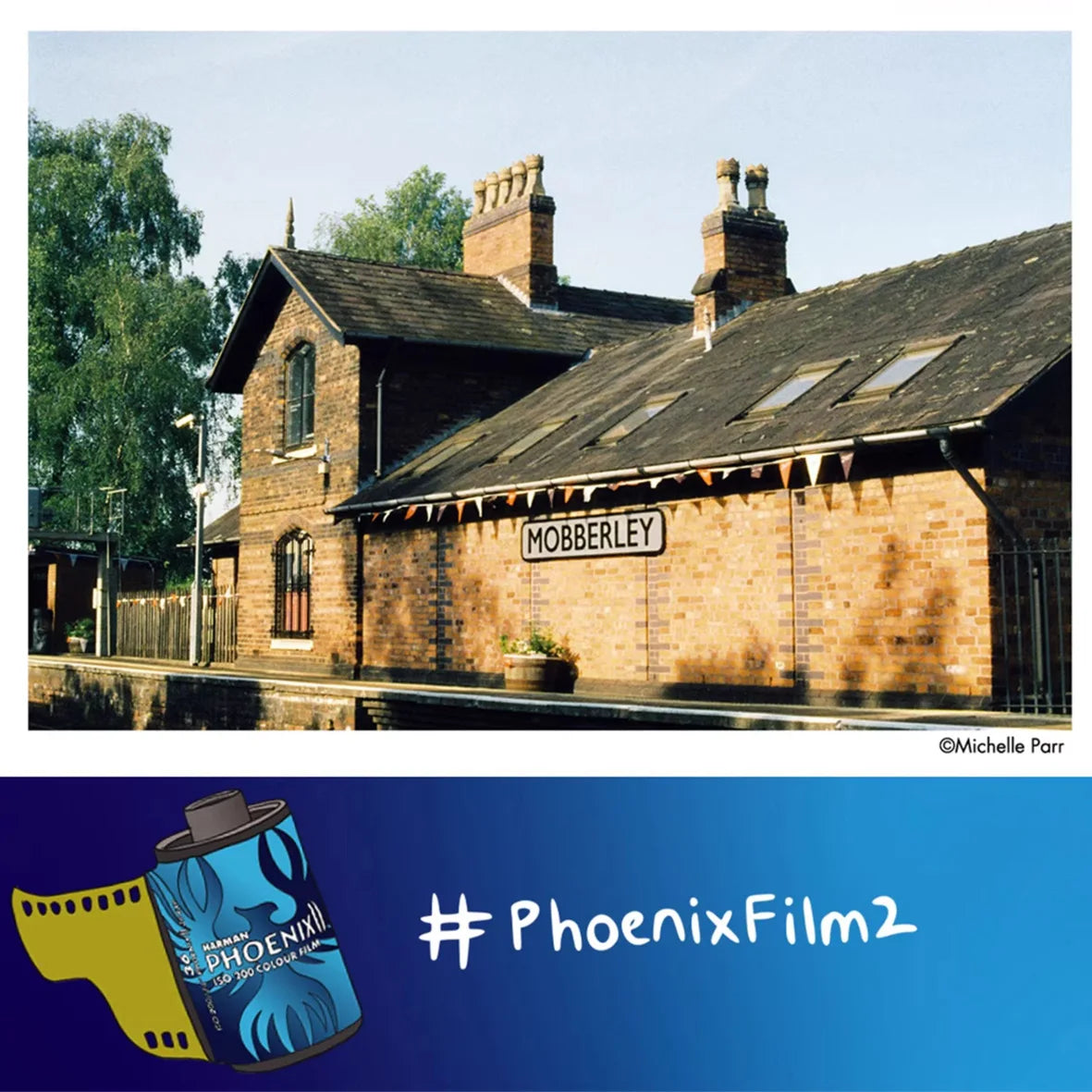 1/3/5Rolls 135mm NEW HARMAN PHOENIX II Color film C41 Development (Expiry date: 2028) Magic Electronics S4564c8b2b1c740f593cc5840f86a1878k