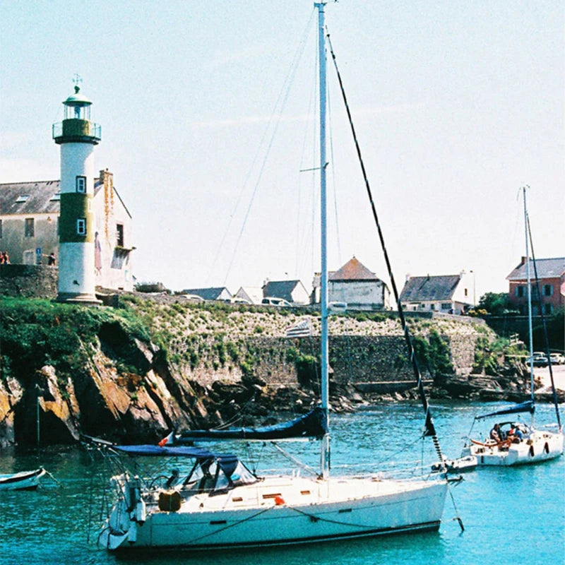 1/3/5Rolls 135mm NEW HARMAN PHOENIX II Color film C41 Development (Expiry date: 2028) Magic Electronics S8bb43e4b4b414efe801df1557fc42f6b0_5a694388-11a7-4e29-aae6-c95a57134d2b