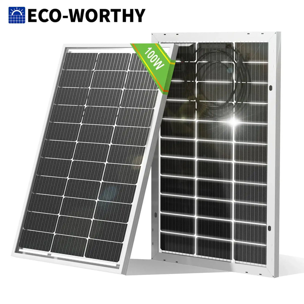 ECO-WORTHY Bifacial 100 Watt 12 Volt Solar Panel Monocrystalline Rigid High-Efficiency PV Module Power Charger for Sunsheds,Rvs - Magic Electronics