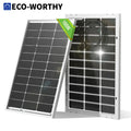 ECO-WORTHY Bifacial 100 Watt 12 Volt Solar Panel Monocrystalline Rigid High-Efficiency PV Module Power Charger for Sunsheds,Rvs - Magic Electronics